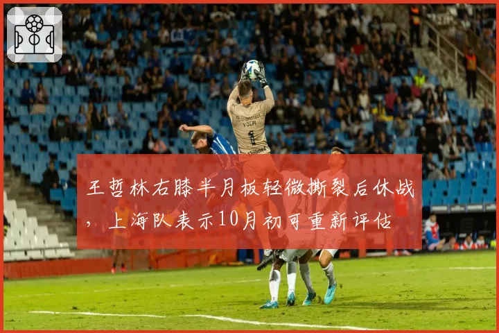 王哲林右膝半月板轻微撕裂后休战,上海队表示10月初可重新评估